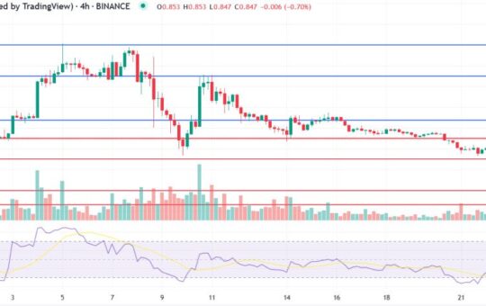 Polygon Price Prediction as MATIC Shoots Up 7% Despite Wider Market Struggles