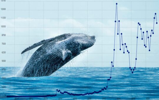 Crypto Whales Believe These Altcoins Will Take the Crypto World by Storm – Find Out Why