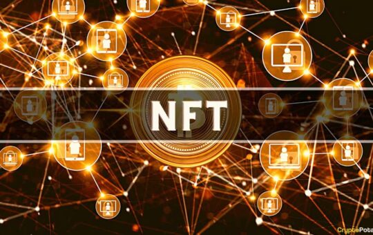 Bitcoin Ordinals Team Launches Non-Profit to Support Bitcoin NFT Developers
