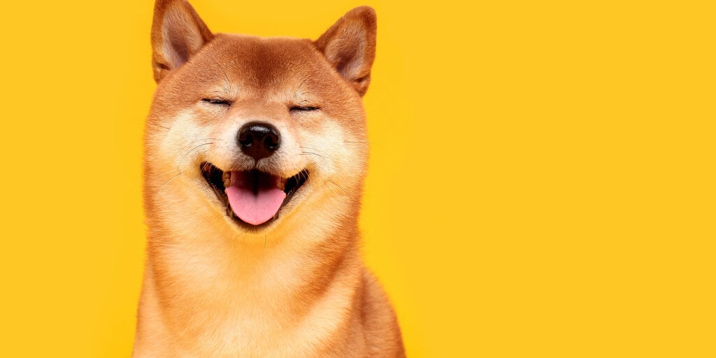 Shiba Inu Team Seeks to Launch SHIB Domains for Websites and Email