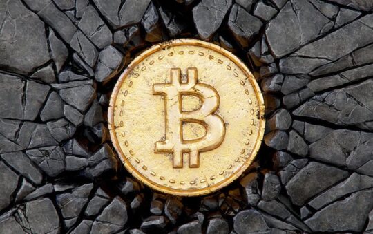 This Week on Crypto Twitter: Bitcoin Battered as Trump-Themed Tokens Dump