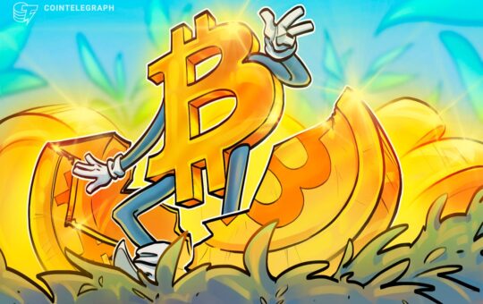 'Strategy is synthetically halving Bitcoin' — Author and analyst