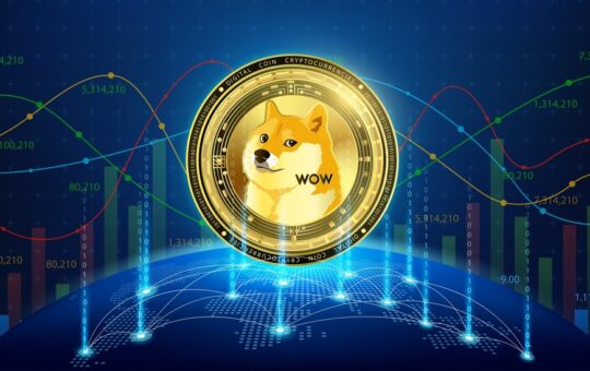 DOGE rally
