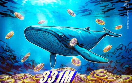 Pi Whale Wallet Amasses 331M Pi Coins