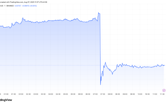 TST Token Price Drop