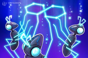 Latin America’s Blockchain Developers Favor Ethereum and Polygon Over New P