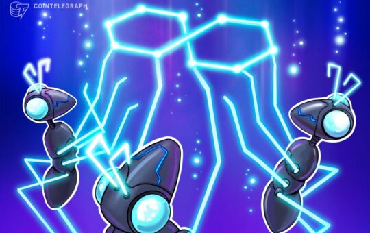 Latin America’s Blockchain Developers Favor Ethereum and Polygon Over New P