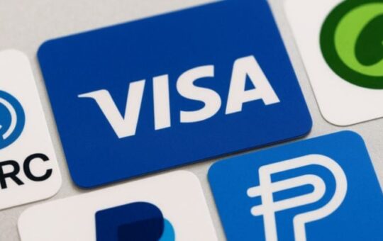 Visa unveils stablecoin-focused advisory group to guide banks and fintechs on digital assets