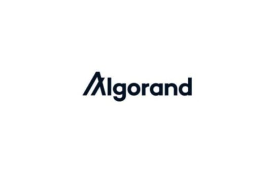 Algorand Foundation returns to the US, appoints new board for strategic blockchain initiatives