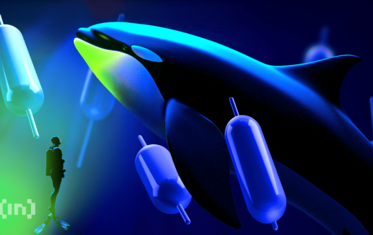 Story (IP) Surges 100%, But Warning Signs Are Emerging