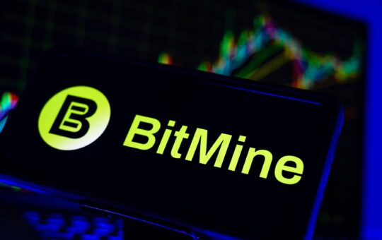 BitMine’s Ethereum Treasury Drops $8B as Ether Falls Below $2,000